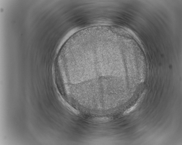 X0000066941243200604211742