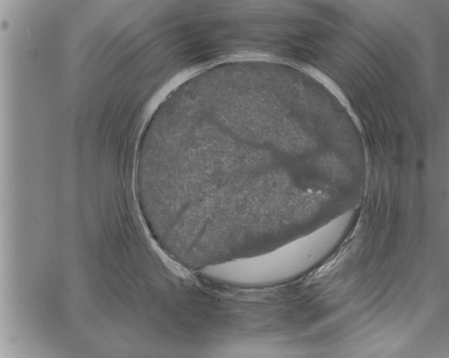 X0000066941245200604211742