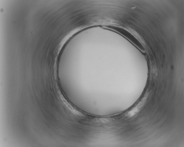 X0000066941246200604211742