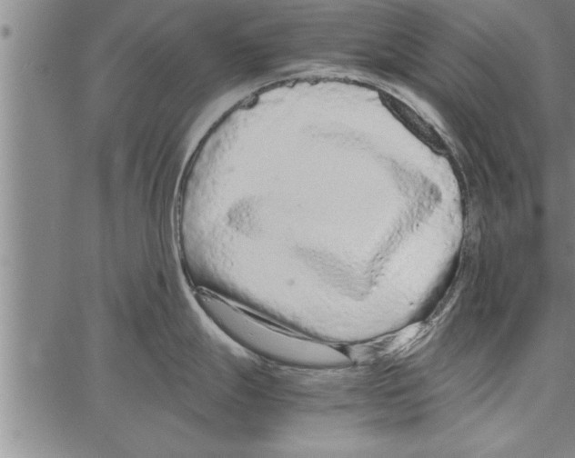 X0000066941247200604211742