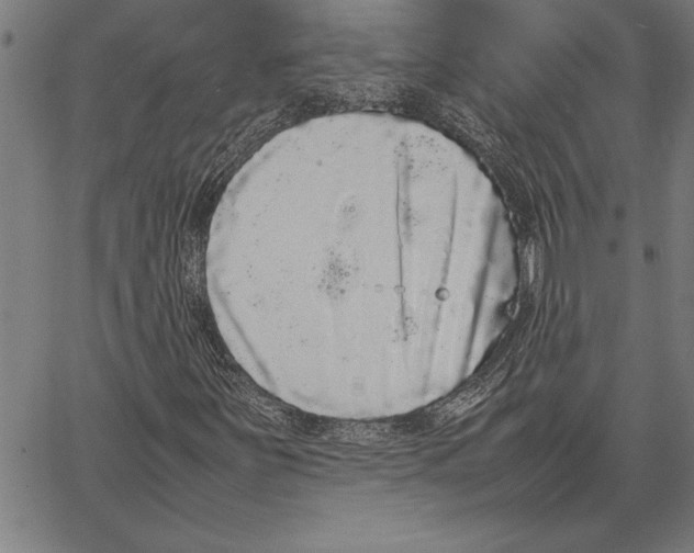 X0000066941251200604211741