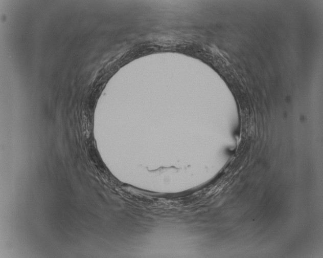 X0000066941253200604211741