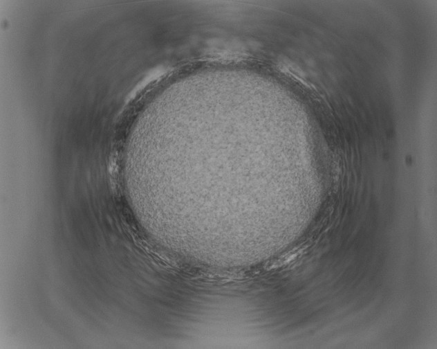 X0000066941254200604211741