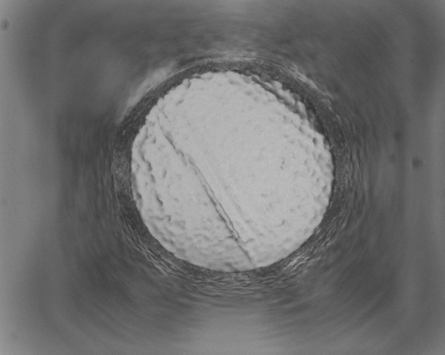 X0000066941255200604211741