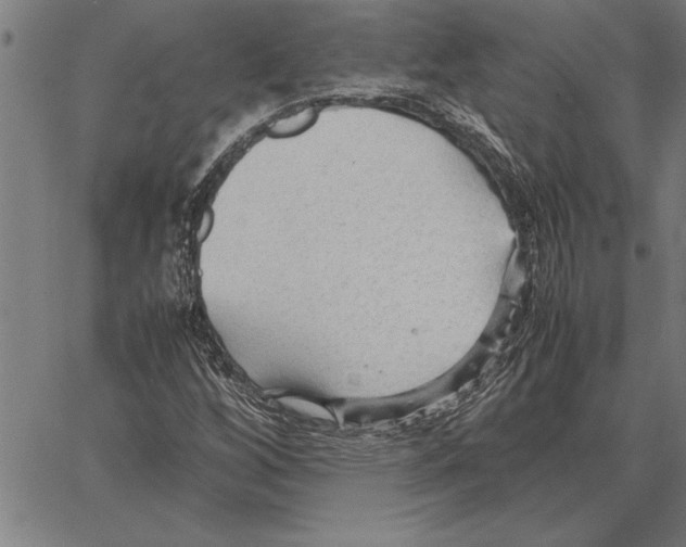 X0000066941256200604211741