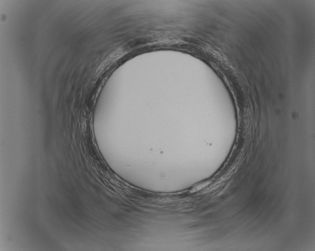 X0000066941257200604211741