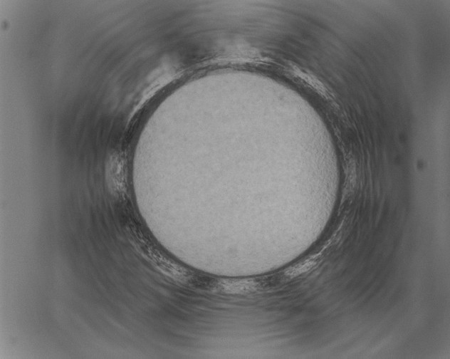 X0000066941258200604211741