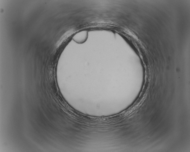 X0000066941259200604211741