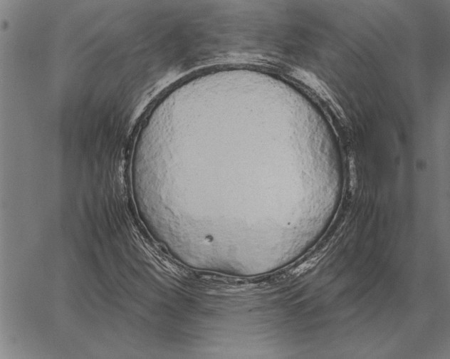 X0000066941260200604211741