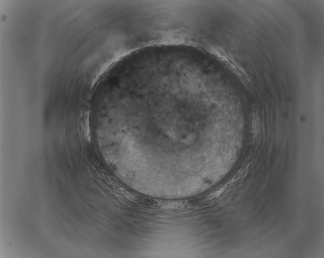 X0000066941262200604211741