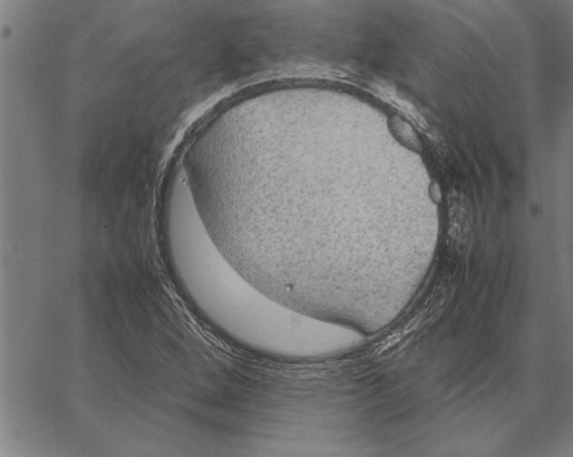 X0000066941264200604211741