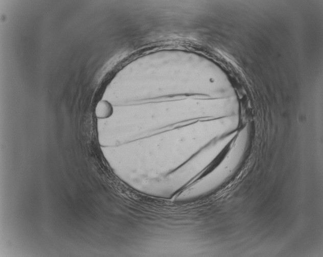 X0000066941267200604211741