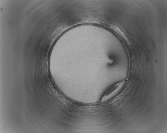 X0000066941268200604211741