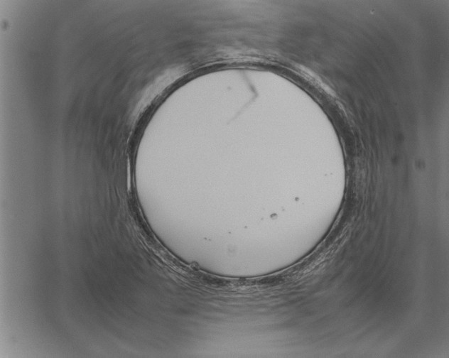 X0000066941269200604211741