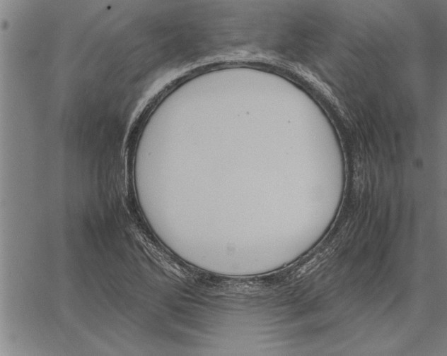 X0000066941270200604211741