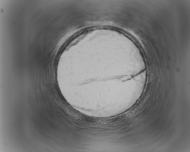 X0000066941271200604211741