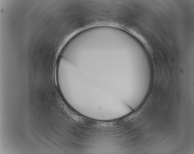 X0000066941272200604211741