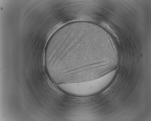 X0000066941276200604211740