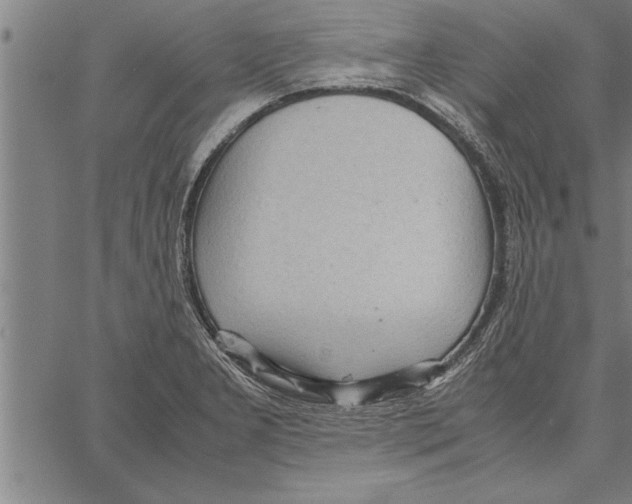 X0000066941277200604211740