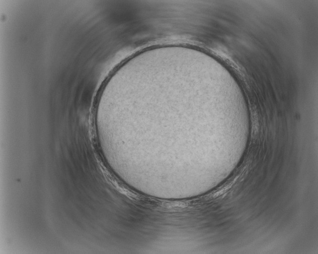 X0000066941278200604211740