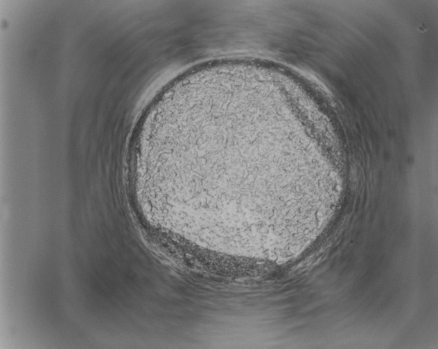 X0000066941279200604211740