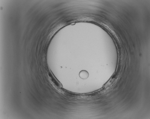 X0000066941281200604211740