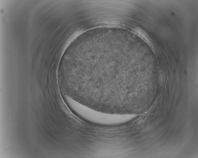 X0000066941283200604211740