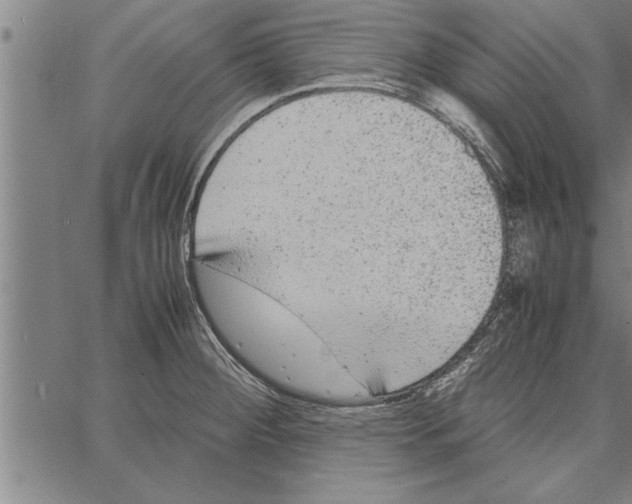 X0000066941284200604211740