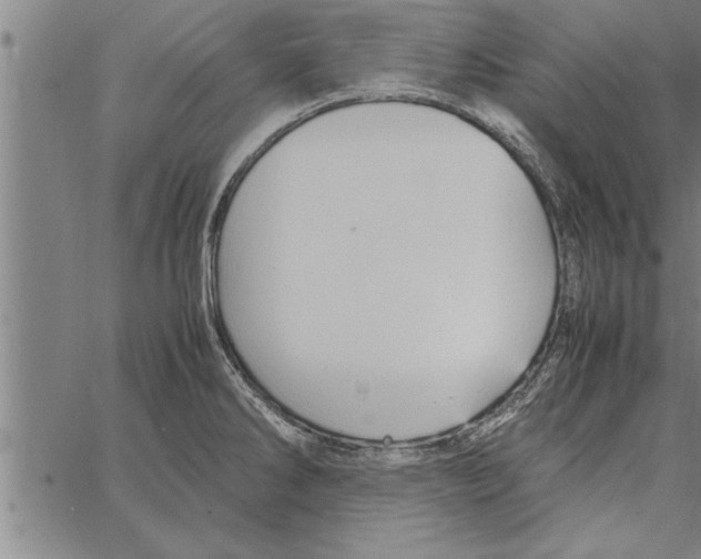 X0000066941286200604211740