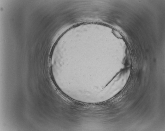 X0000066941287200604211740