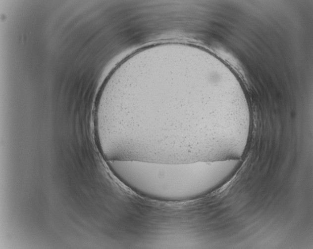 X0000066941288200604211740