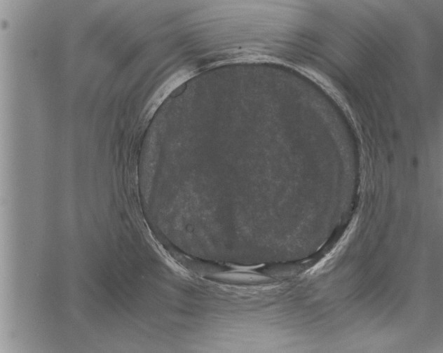 X0000066941289200604211740