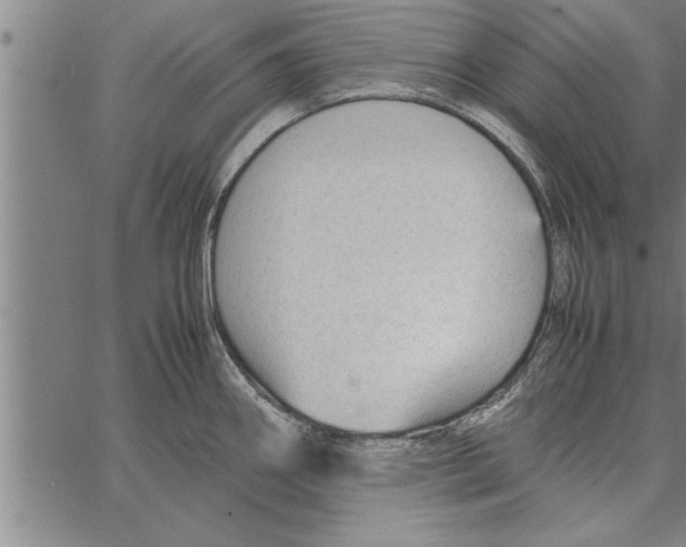 X0000066941290200604211740