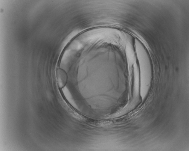 X0000066941291200604211740