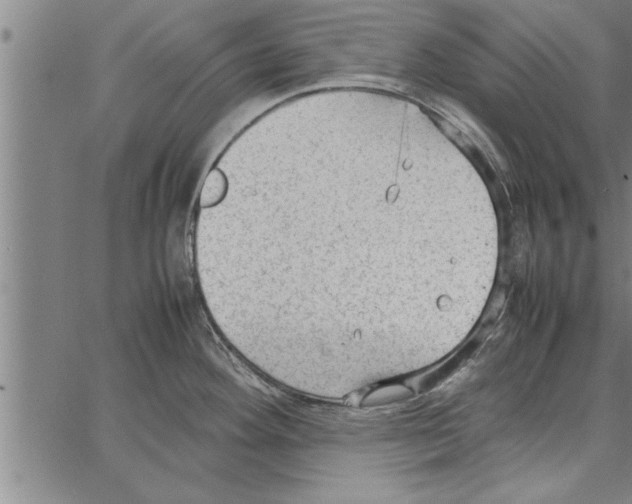 X0000066941292200604211740