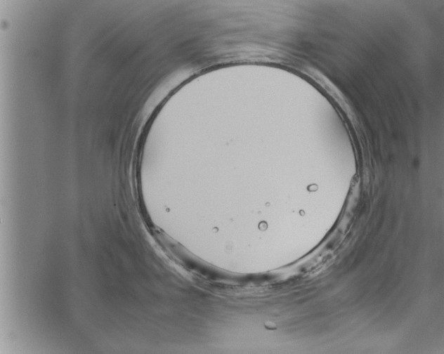 X0000066941293200604211740