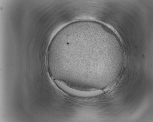 X0000066941295200604211740