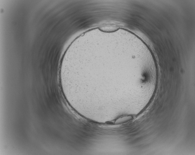 X0000066941296200604211740