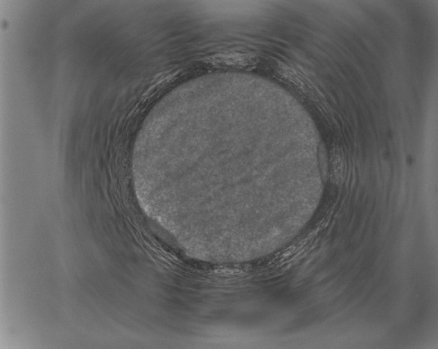 X0000066941297200604211739