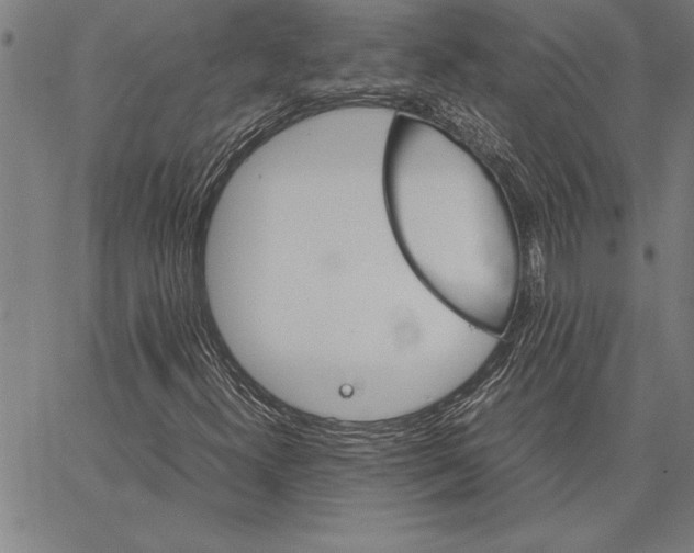 X0000066941300200604211739