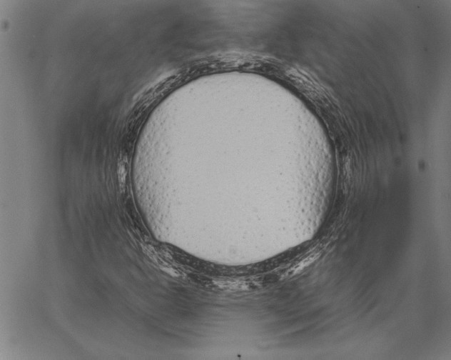 X0000066941302200604211739