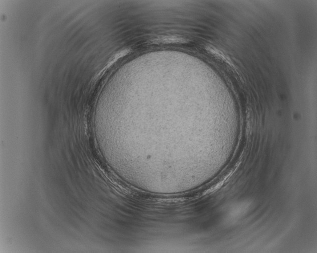 X0000066941305200604211739