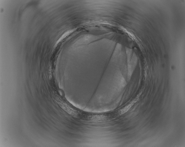 X0000066941306200604211739