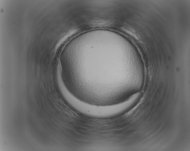 X0000066941309200604211739