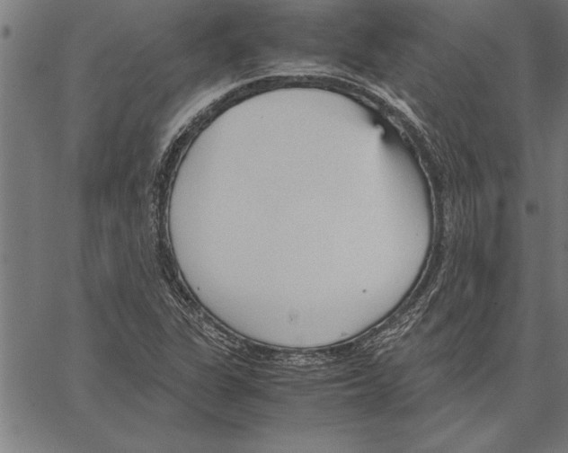 X0000066941311200604211740