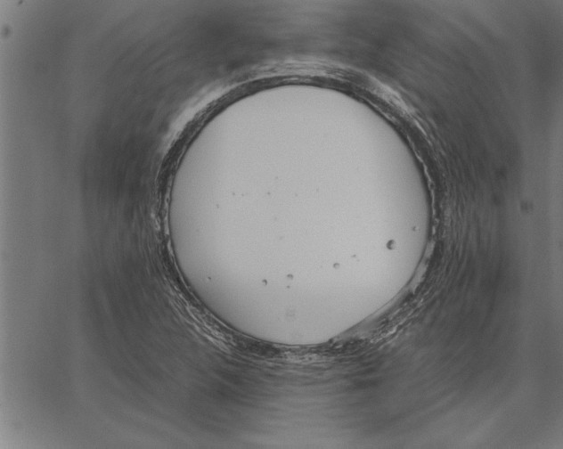 X0000066941312200604211740