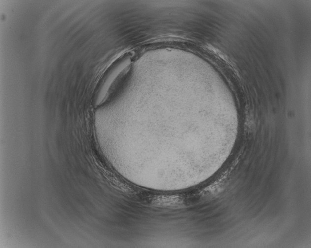 X0000066941313200604211740