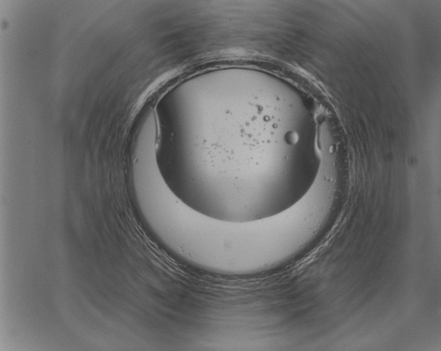 X0000066941314200604211740