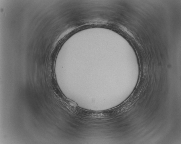 X0000066941315200604211740