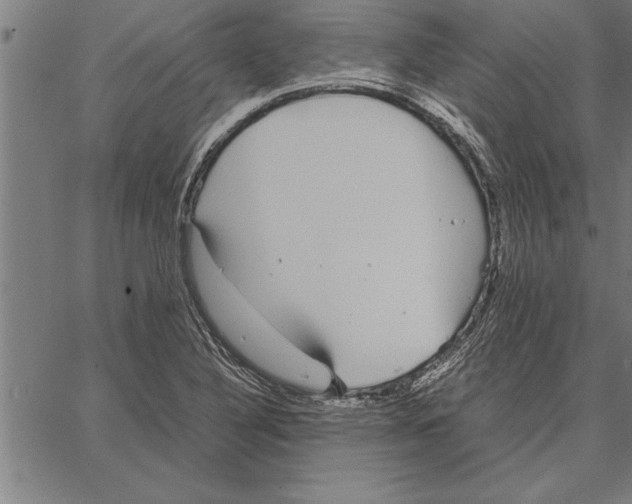 X0000066941316200604211740